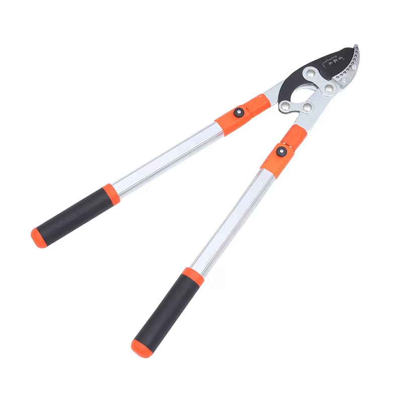 branch  scissors